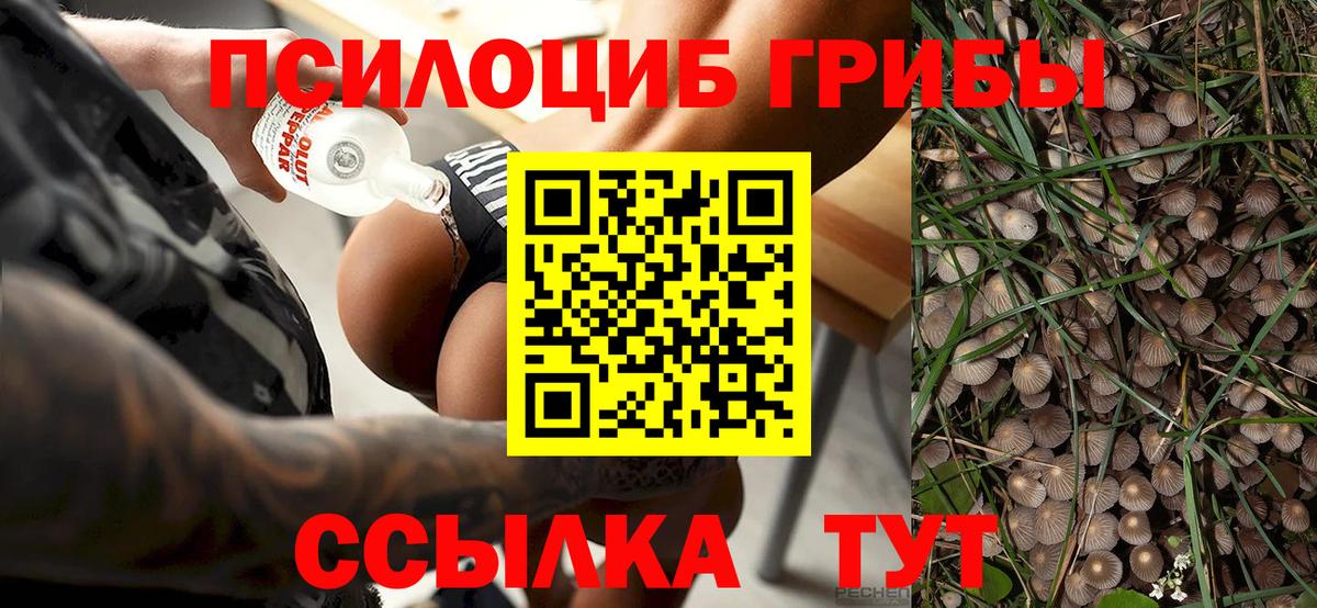 Псилоцибиновые грибы Cubensis  Вход с VPN  Псилоцибиновые грибы MAGIC MUSHROOMS  Артём 